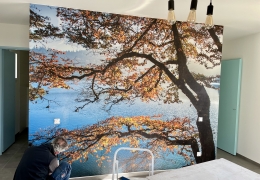 Papier Peint Trompe l’oeil